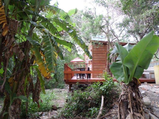 Yellowwood Forest Eco Retreat Morgan's Bay Esterno foto